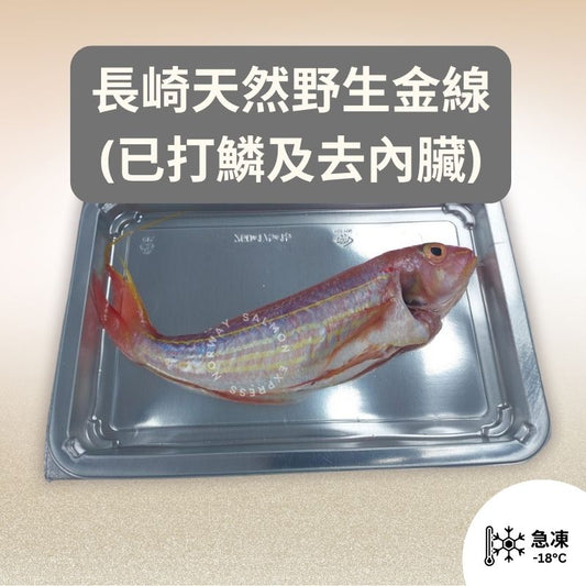 長崎天然野生金線魚 (約300-360g) (已打鱗及去內臟)