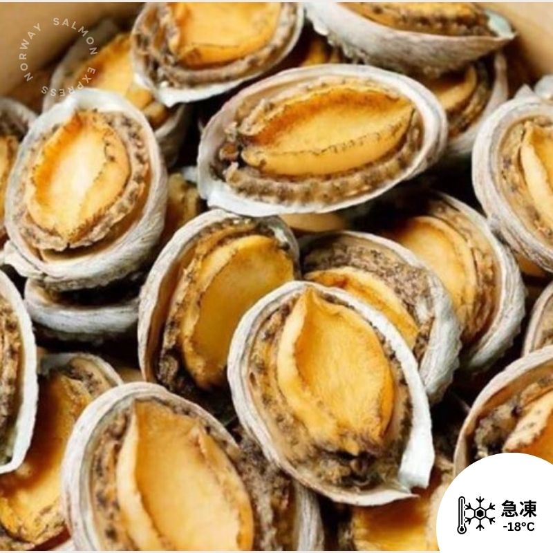 半殼熟鮑魚 160g (6-8隻)