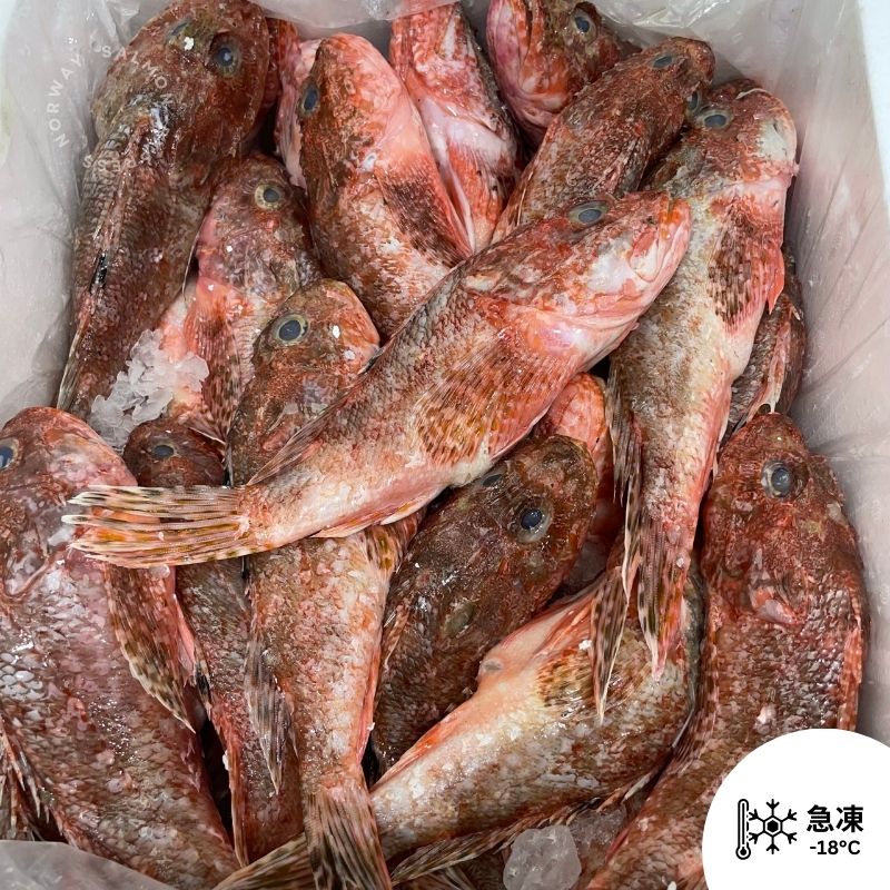 (急凍) 石崇魚 (已劏好)550-600g (約2-5條) (劏前約600g 包劏好)