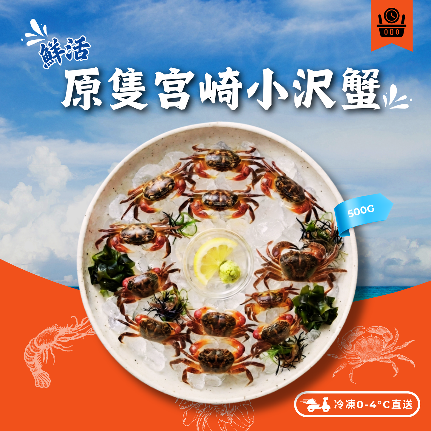 【預訂款】活-宮崎小沢蟹500g / 宮崎沢ガニ (約50隻+/-)