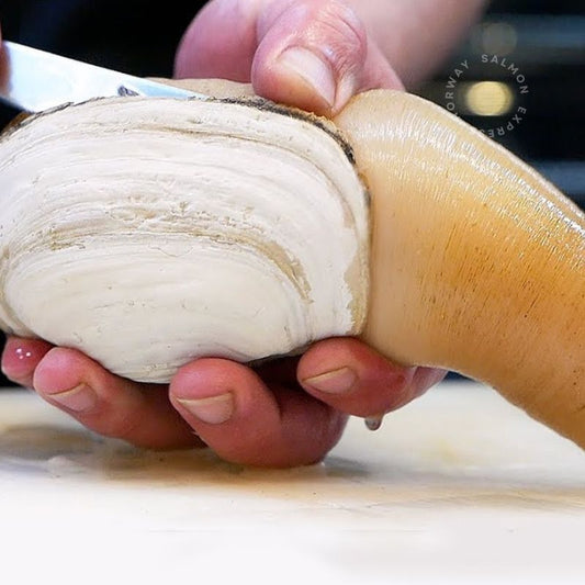 【需預訂】日本原條活象拔蚌200-400g (約4-6個工作天) (免費加工切片)