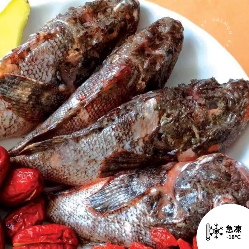 (急凍) 石崇魚 (已劏好)550-600g (約2-5條) (劏前約600g 包劏好)