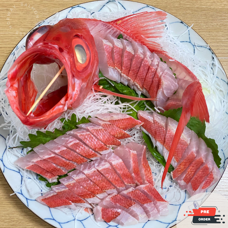 【預訂款】原條靜岡金目鯛1.2-1.6kg (免費代切) (約4-6個工作天)