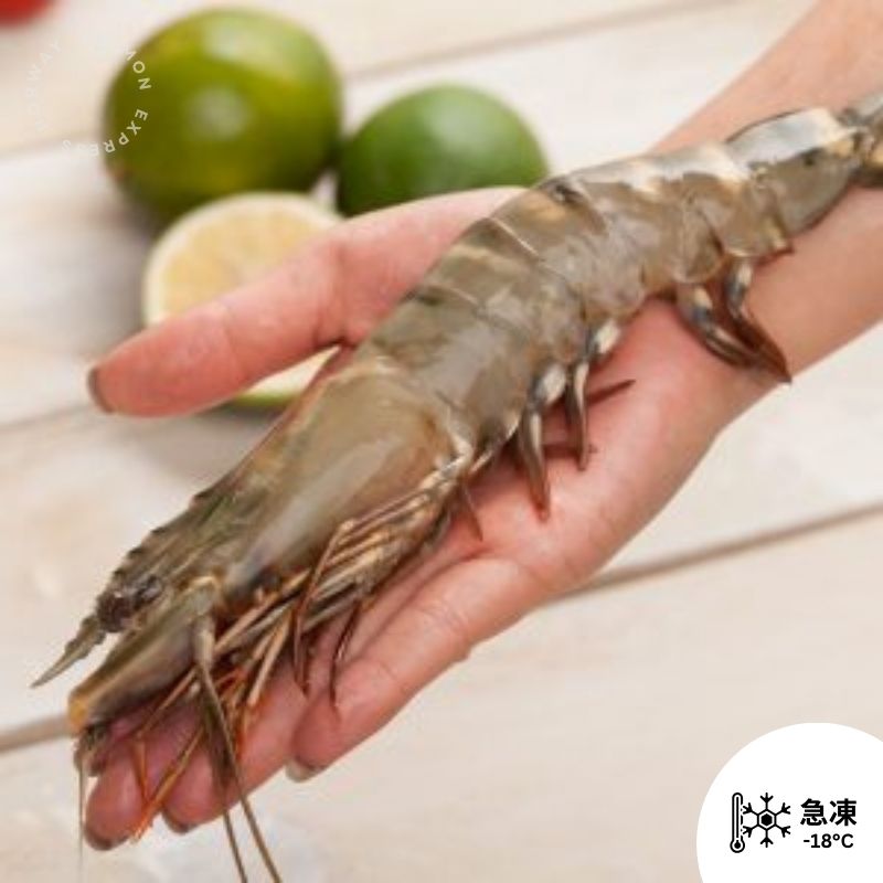 越南珍寶有頭虎蝦皇(8-10隻)(1kg)