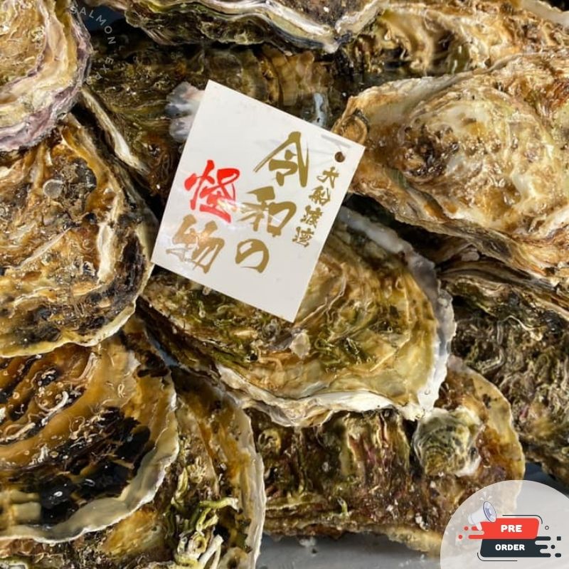 【預訂款】日本令和之怪物生蠔 (30入/1箱/6kg) (約4-6個工作天)