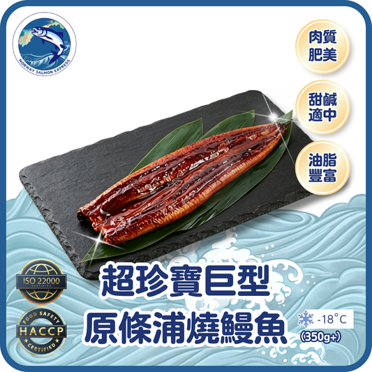 超珍寶巨型原條浦燒鰻魚 (350g+)