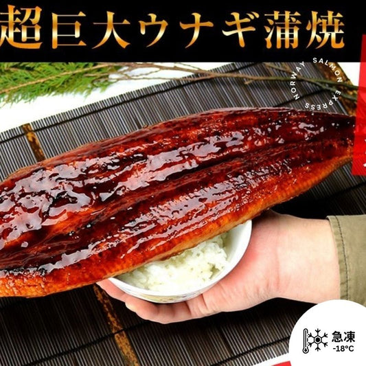 超珍寶巨型浦燒鰻魚 (350g up)