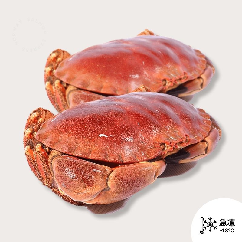 愛爾蘭麵包蟹 400-600G (熟)