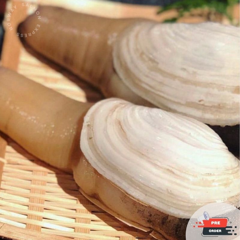 【需預訂】日本原條活象拔蚌200-400g (約4-6個工作天) (免費加工切片)