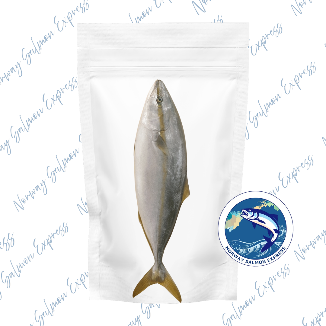 原條 - 熟食用 - 九州天然野生油甘魚BB (900-1100g)(急凍-18° C)