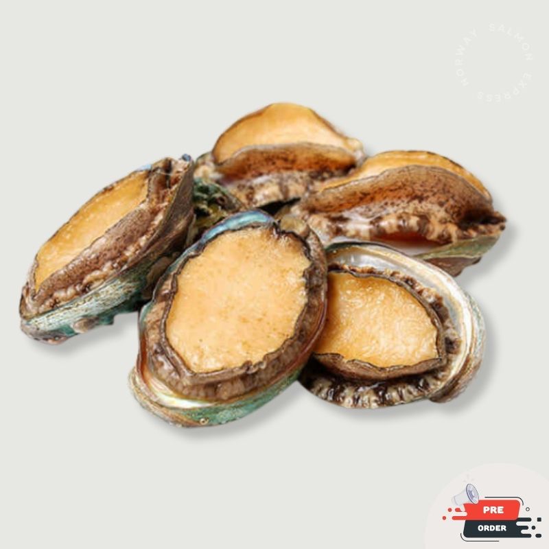 【需預訂】活鮑魚 7隻 (約4-6個工作天)