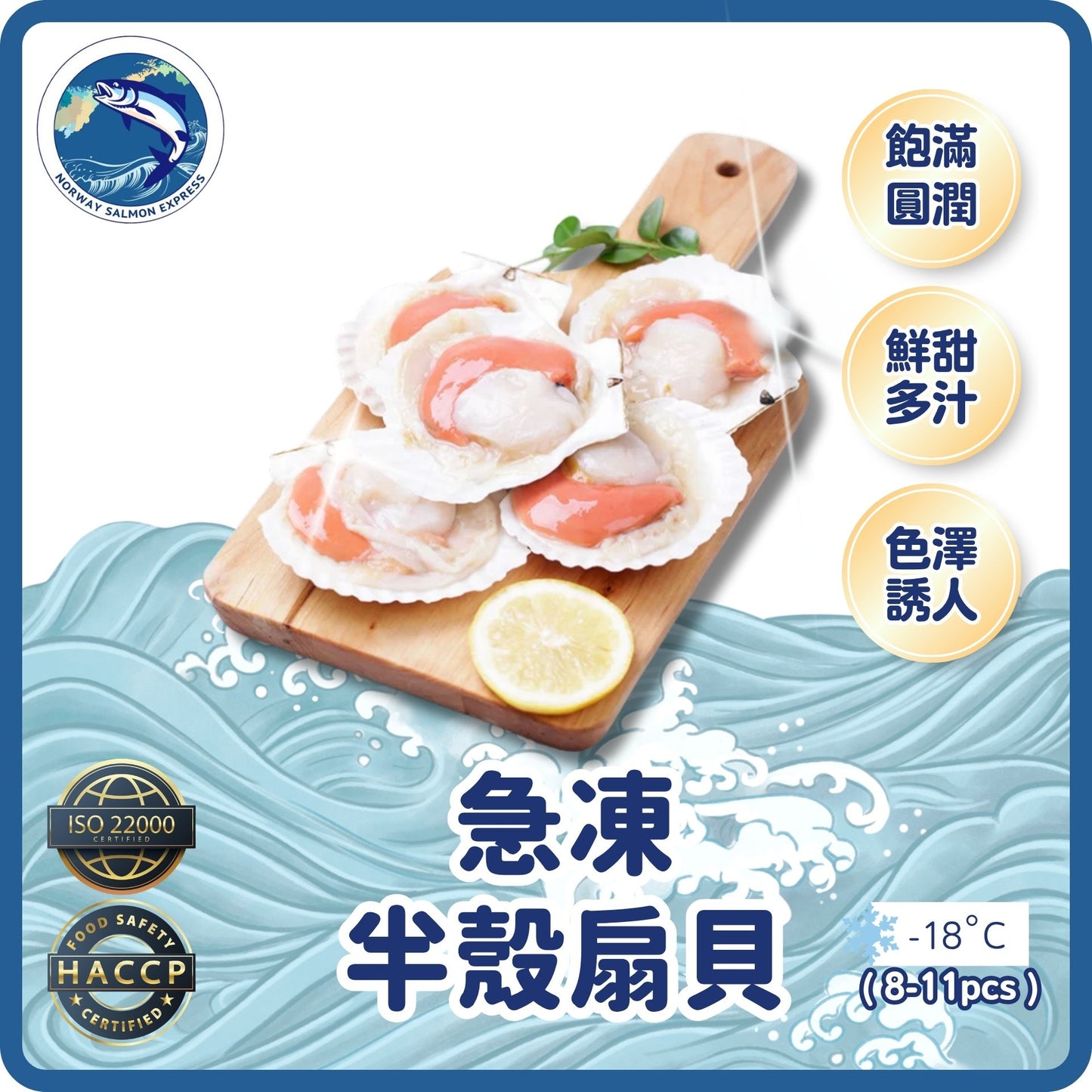 半殼扇貝(8-11PCS/KG)(急凍-18° C)