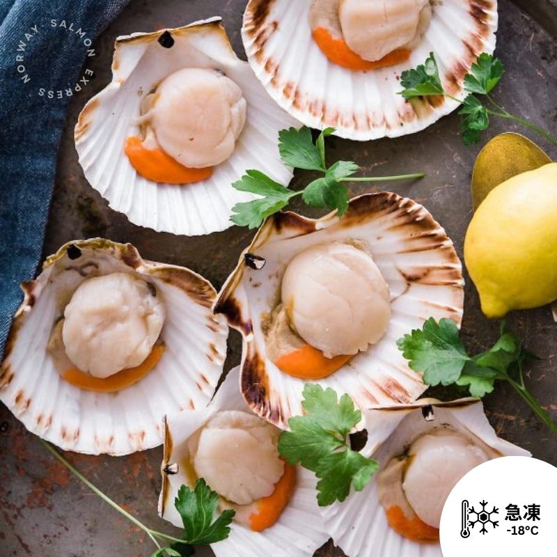 急凍半殼扇貝(8-11隻)(1kg)