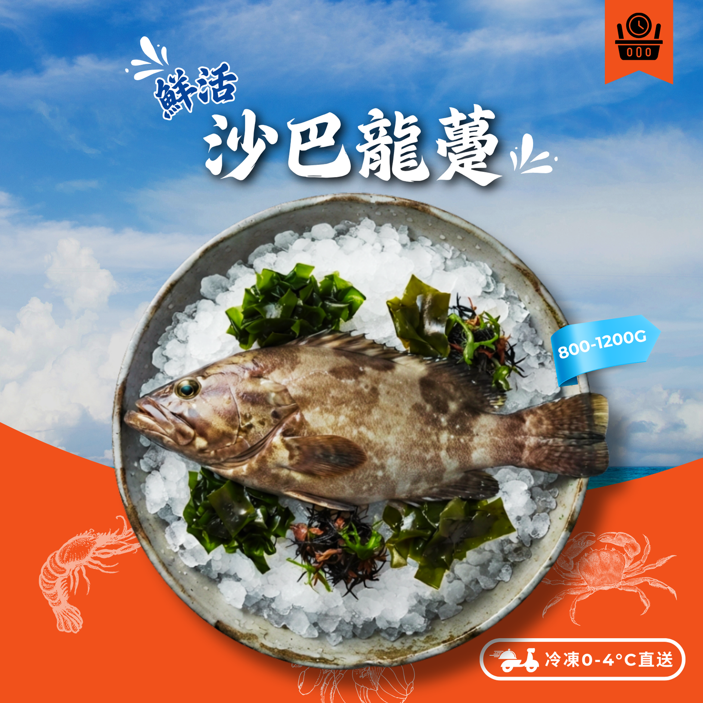 【需預訂】活-游水沙巴龍躉800-1200g (約4-6個工作天)