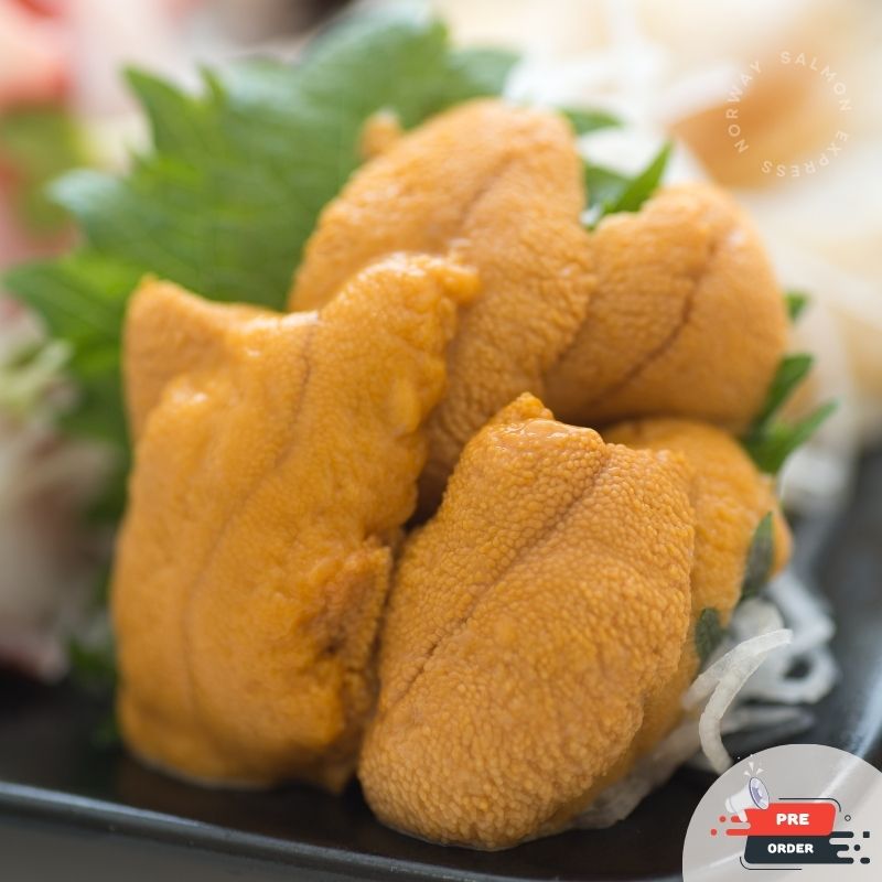 漁鮮快遞-加拿大海膽刺身(110G/10片)