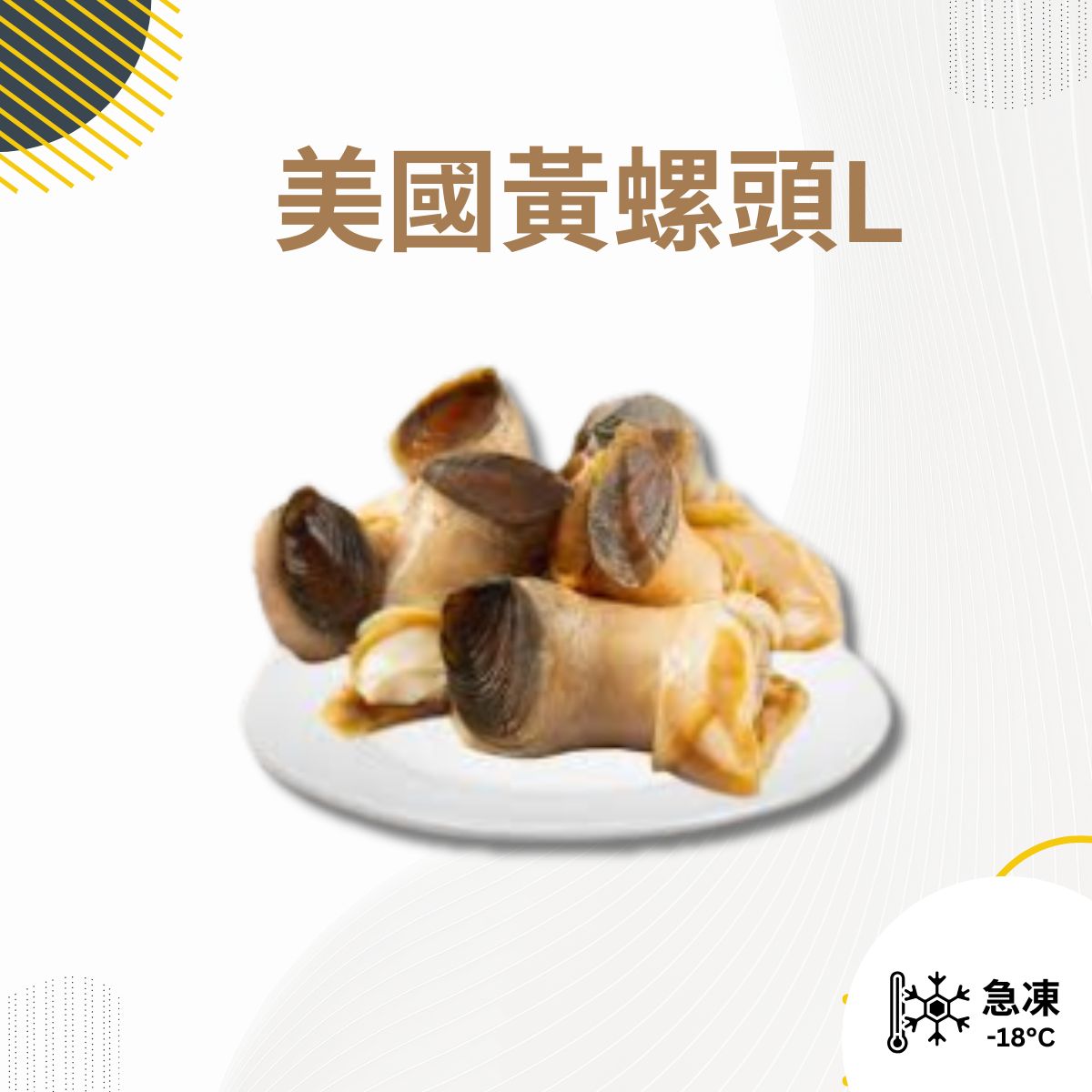 美國黃螺頭 XL (454g) 約3-4粒