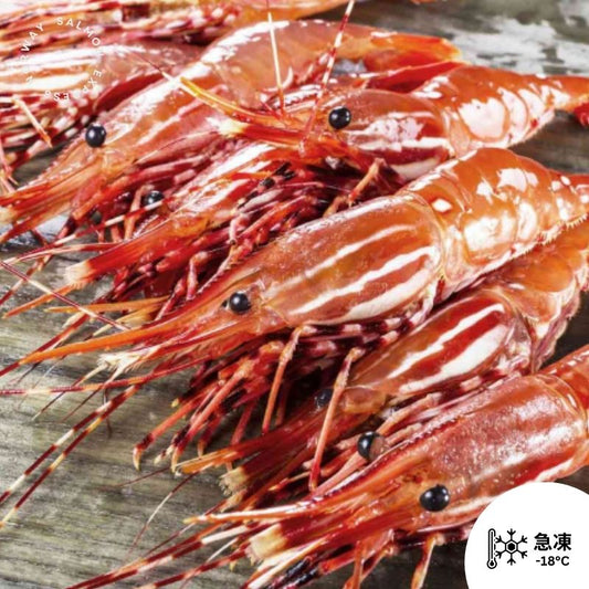 加拿大牡丹蝦 L (30-32隻)(1kg)