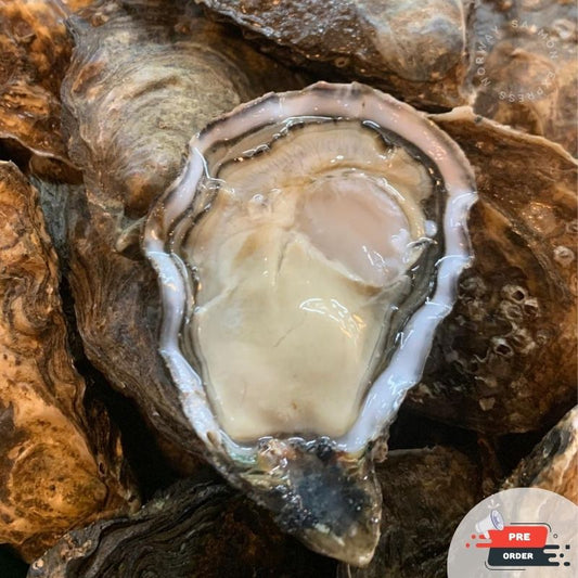 【需預訂】愛爾蘭生蠔/ Majestic Oyster (12隻)(每隻3.5吋)