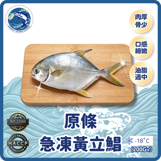 原條急凍黃立鯧 (已去內臟) (200g+/1條)(急凍-18°C) #懶人恩物