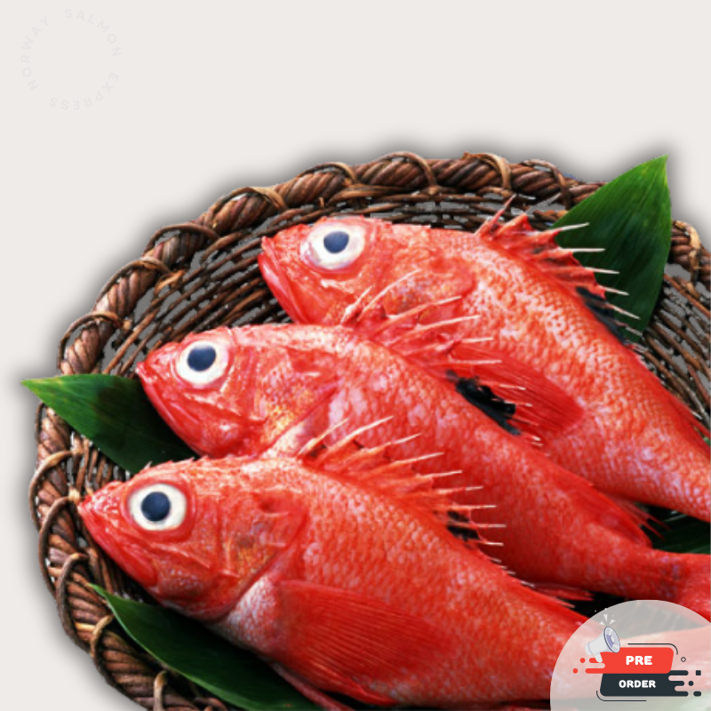 【預訂款】原條北海道喜知次魚400-600g (免費代切)(約4-6個工作天)