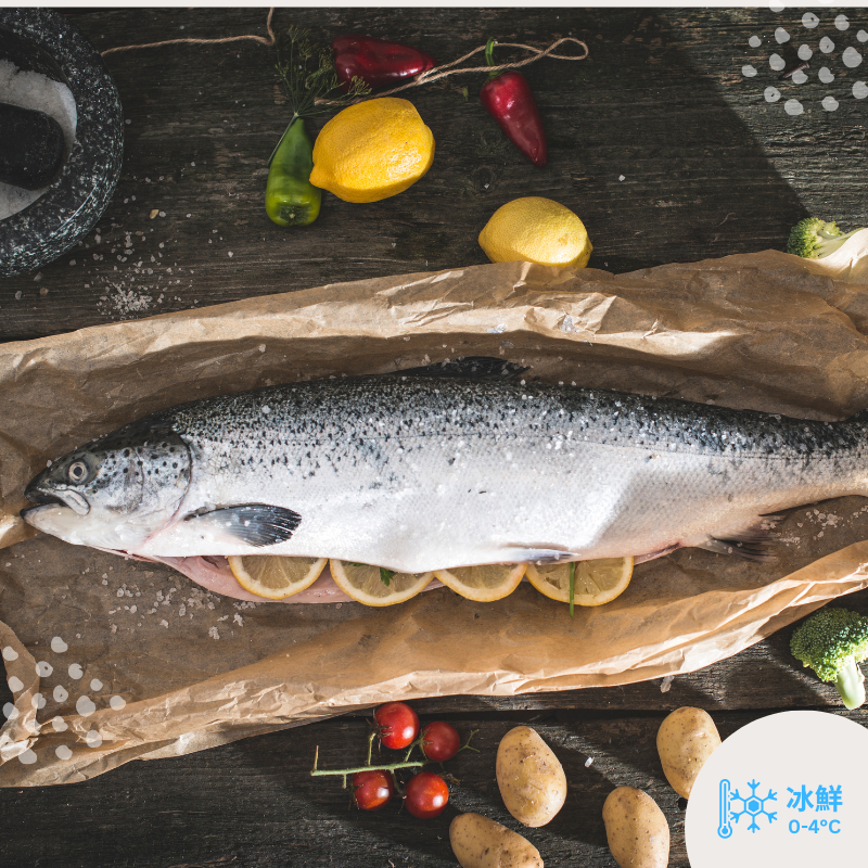 原條挪威三文魚(13-15磅/6-7KG) / 淨魚肉重量約7-9磅/4KG)