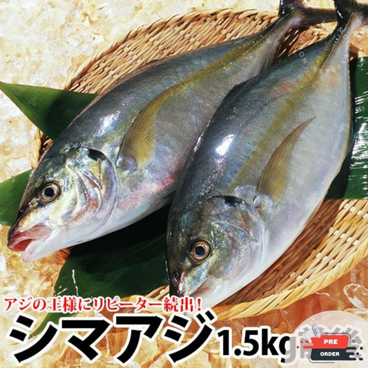 【預訂款】日本原條深海池魚(縞鰺)1.2-1.6kg (免費代切) (約4-6個工作天)