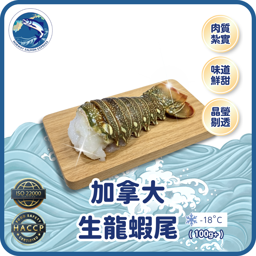 加拿大生龍蝦尾 (100g+)
