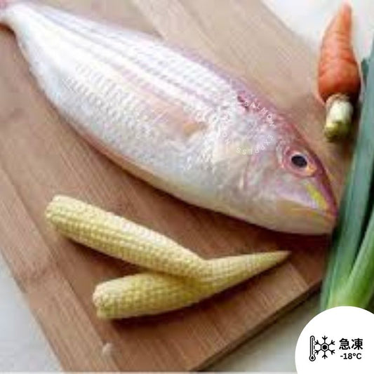長崎天然野生金線魚 (約300-360g) (已打鱗及去內臟)