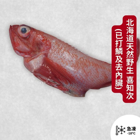 北海道天然野生 喜知次 (約220-280g) (已打鱗及去內臟)