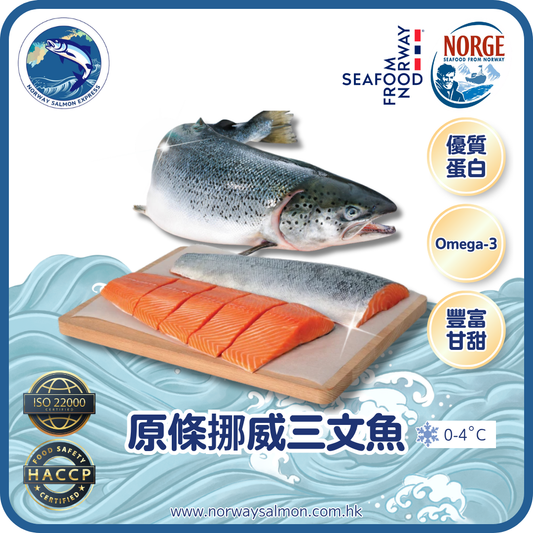 原條挪威三文魚(13-15磅/6-7KG) / 淨魚肉重量約7-9磅/4KG)