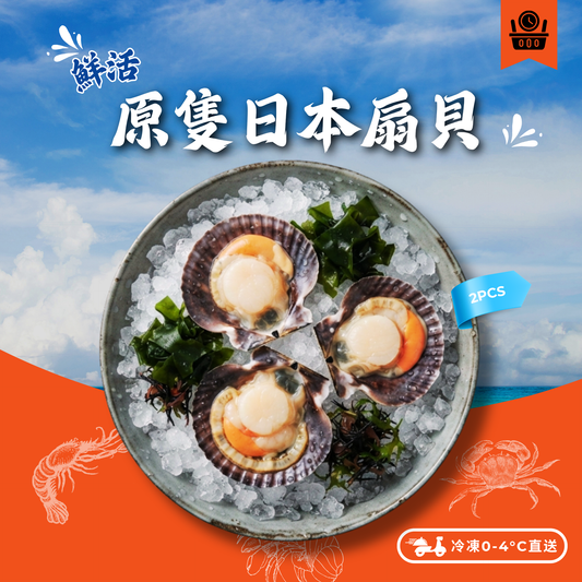 【預訂款】活/冰鮮原隻日本扇貝帶子 2隻 (300-400g/隻)(約4-6個工作天)