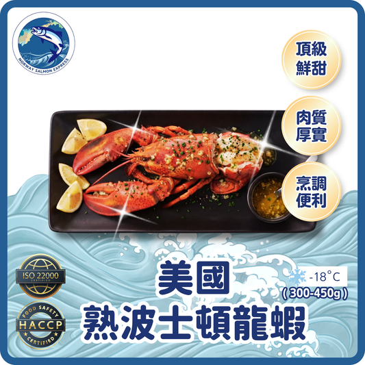 (熟) 美國/加拿大波士頓龍蝦(300-450G)(急凍-18°C)