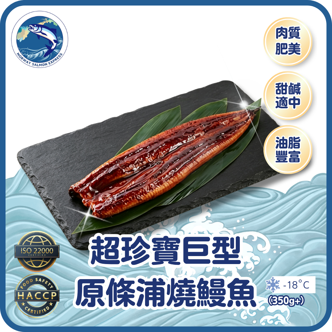 超珍寶巨型原條浦燒鰻魚 (350g+)