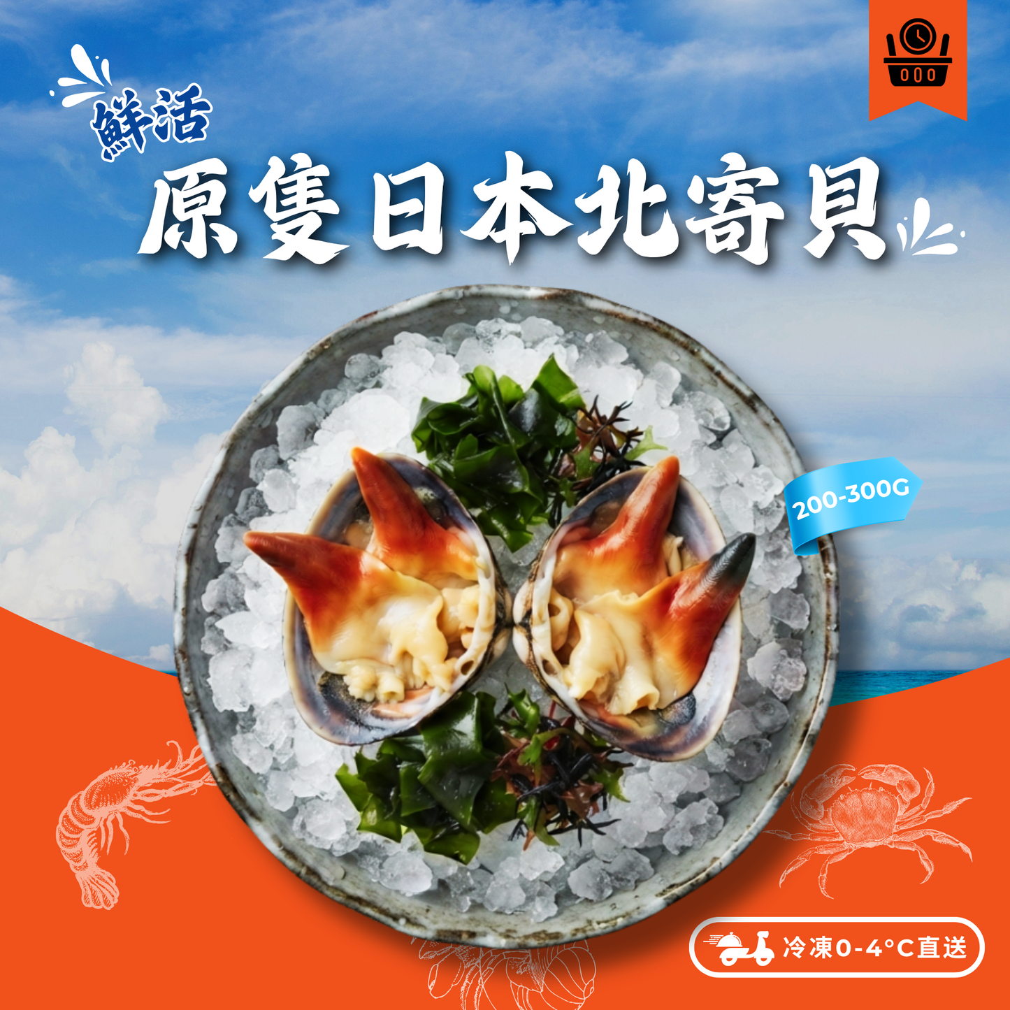 【預訂款】活-原隻日本北寄貝200-300g (免費代切)(約4-6個工作天)