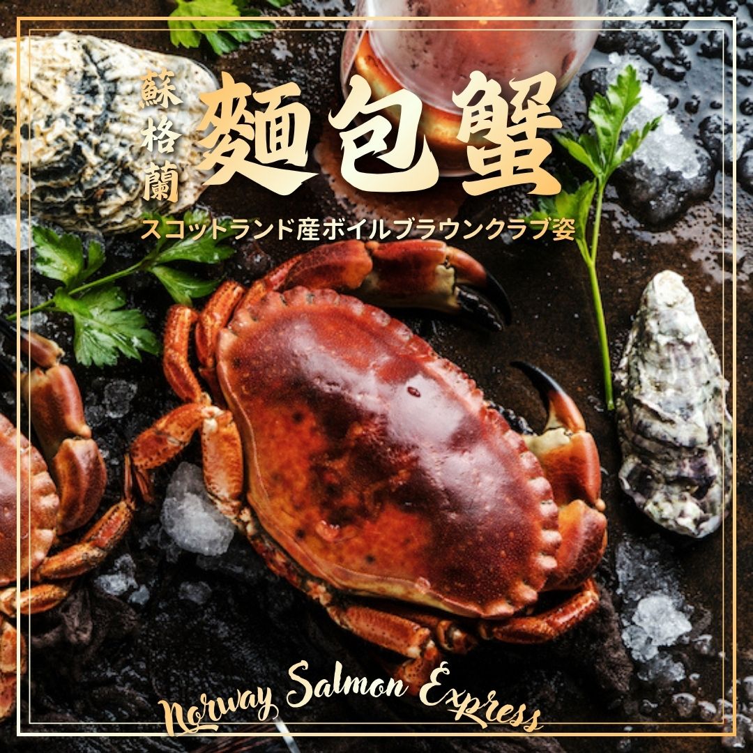 蘇格蘭原隻即食熟麵包蟹 (400g+)(急凍-18℃)