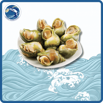 法國即食熟翡翠螺(18-25PCS/KG)(急凍-18° C)