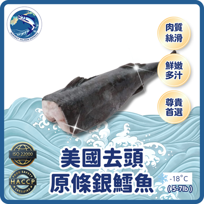 【按重量收費】美國原條銀鱈魚(去頭)(5-7lb)(急凍-18°C)