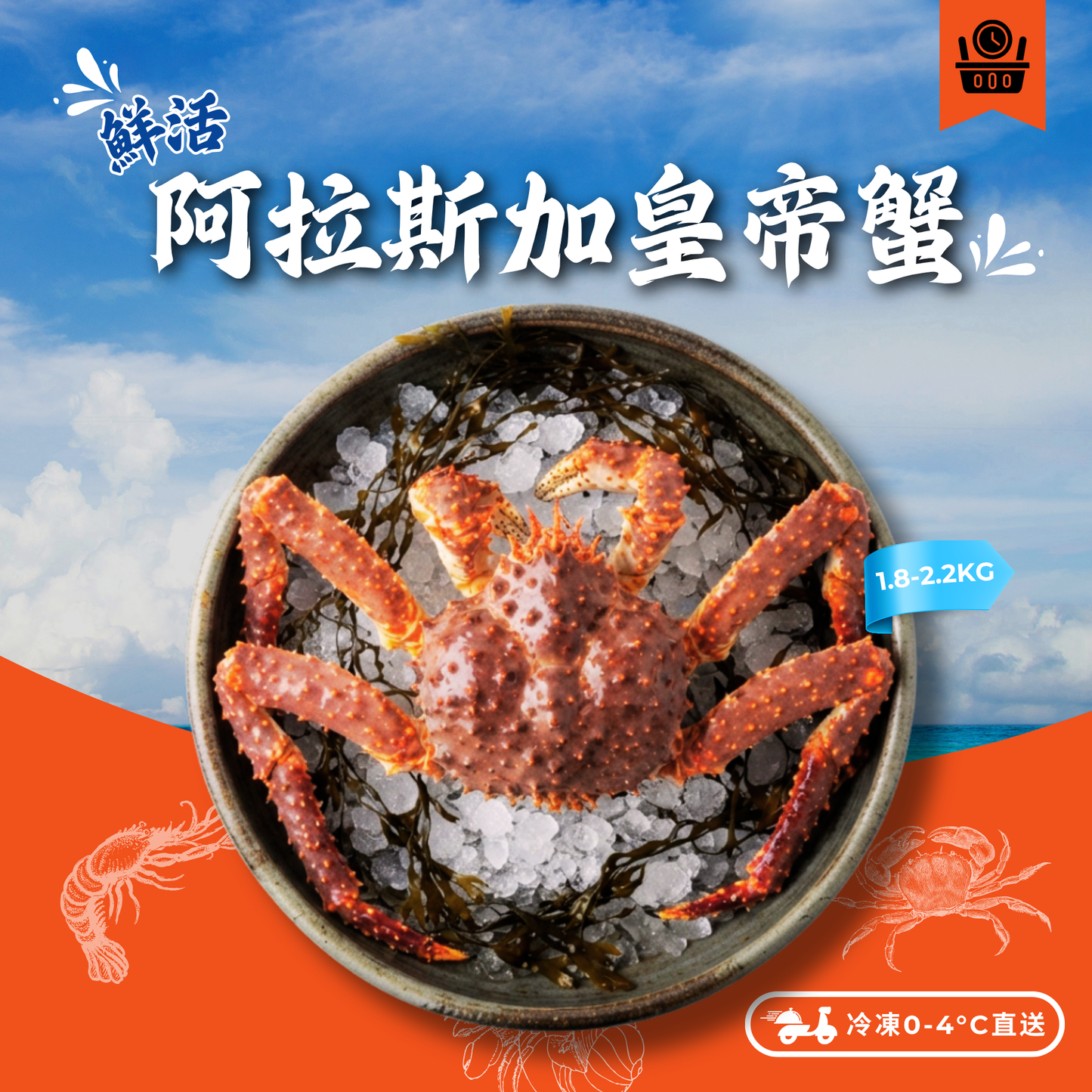【須預訂】活-阿拉斯加皇帝蟹 1.8-2.2kg (約4-6個工作天)