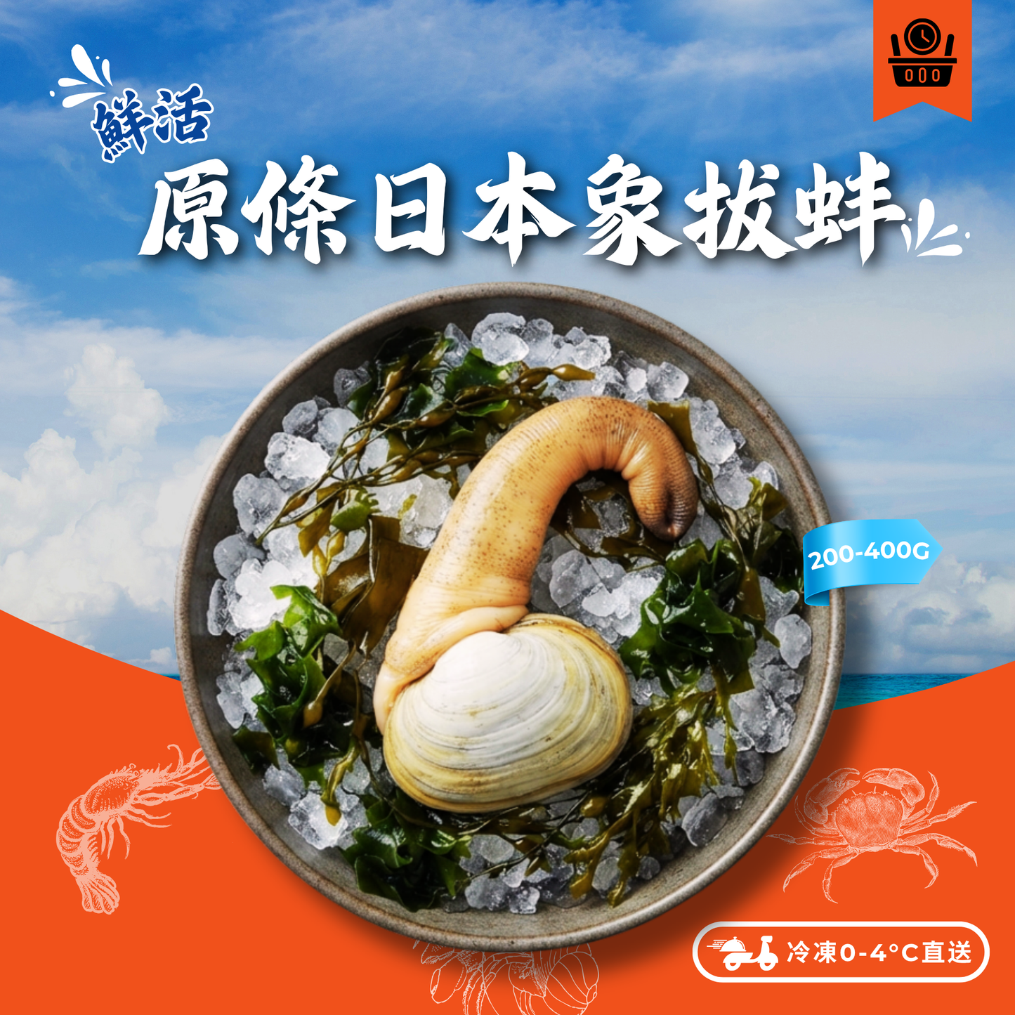 【需預訂】日本原條活象拔蚌200-400g (約4-6個工作天) (免費加工切片)