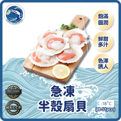 半殼扇貝(8-11PCS/KG)(急凍-18° C)