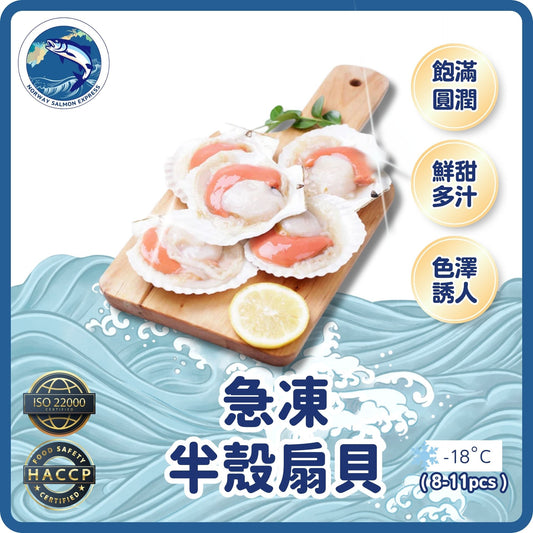 半殼扇貝(8-11PCS/KG)(急凍-18° C)
