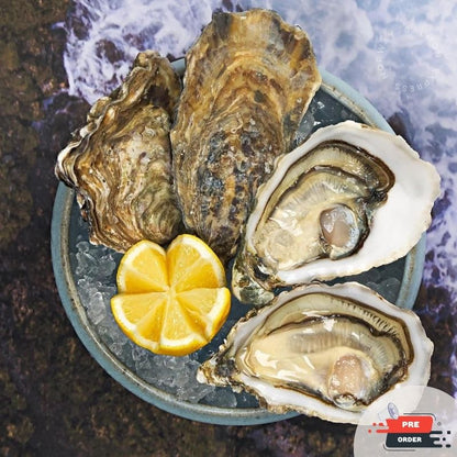 【需預訂】法國生蠔 Gillardeau Oyster 12隻