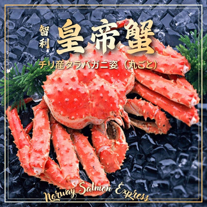 智利原隻特大級皇帝蟹(1.6-1.9KG)(急凍-18°C)