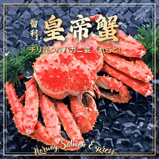 智利原隻特大級皇帝蟹(1.6-1.9KG)(急凍-18°C)