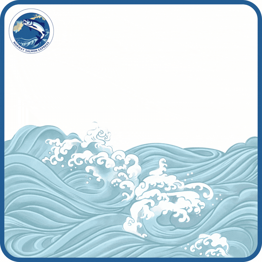 美國Prime雪花一口牛 (250g)