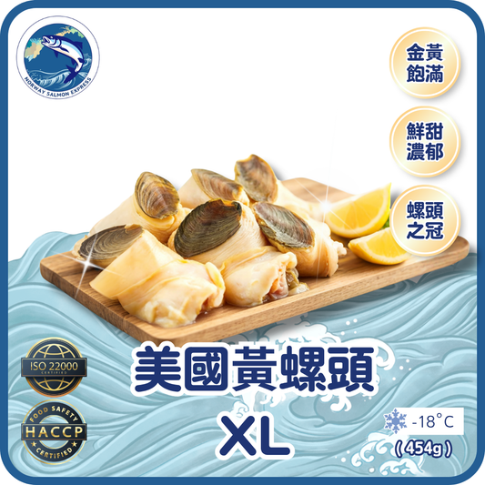 美國黃螺頭XL - 約3-4隻 (454g)(急凍-18° C)