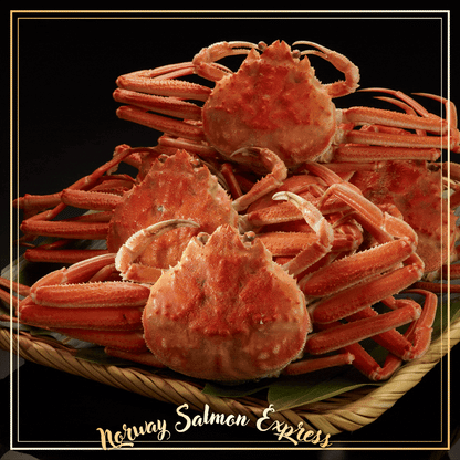 【需預訂】北海道原隻即食熟松葉蟹 (900g+/-)(急凍-18℃)