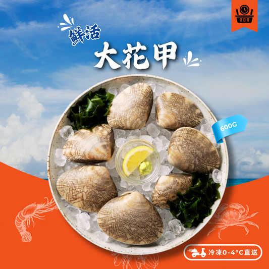 【須預訂】活-大花甲600g