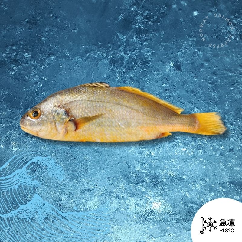 原條黃花魚(已去鱗/去腮/去臟) 200g up