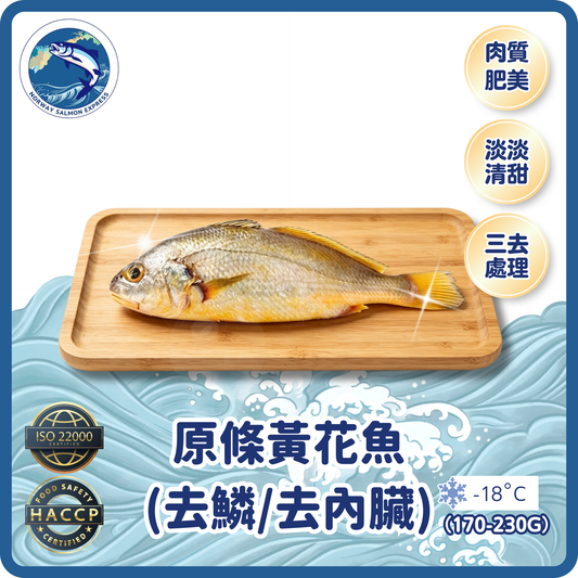 原條黃花魚(已去鱗,魚腮,內臟)(170-230g/1條)(急凍-18° C) ＃懶人恩物